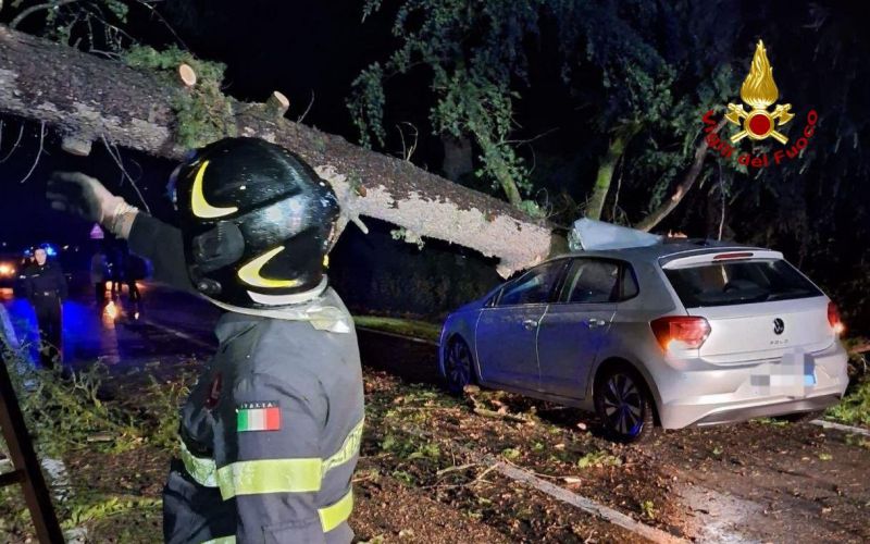 Italija podrto drevo gasilci