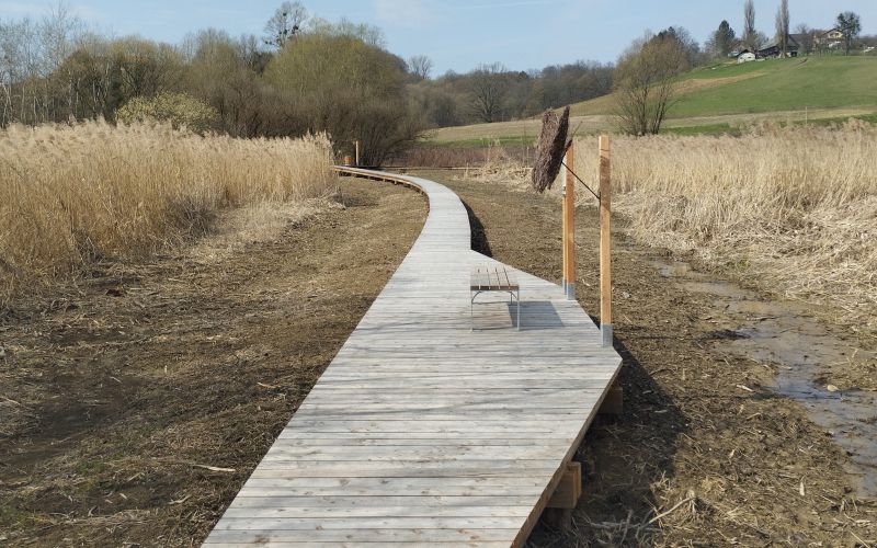 IMG_20260320_104224 - L.jpg