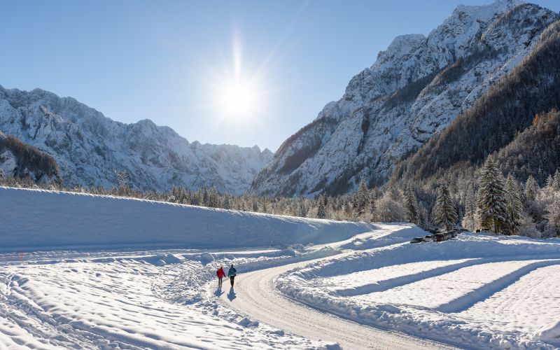 Planica, Tamar