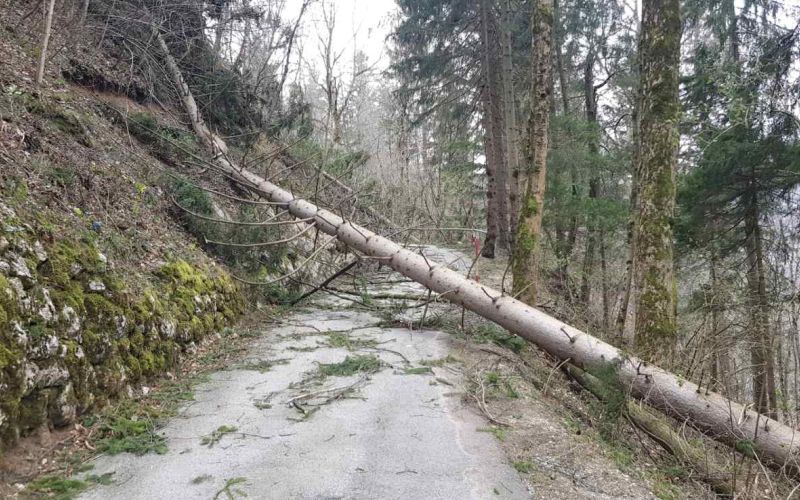 Vetrolom marec 2026 ZGS Jesenice A Marencic.jpg