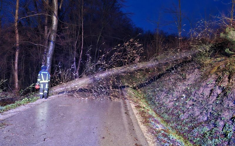 PGd rogaška slatina 2.jpg