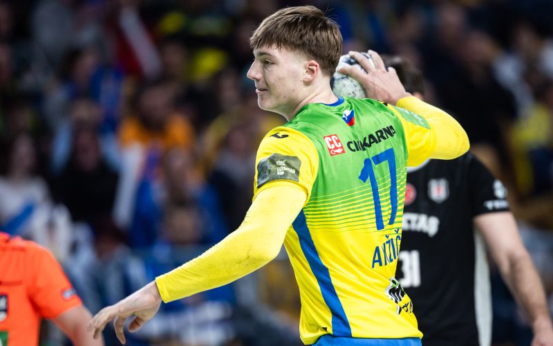 147-8-anzic glavna.jpg