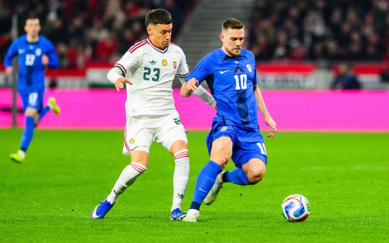 elsnik madzarska.jpg