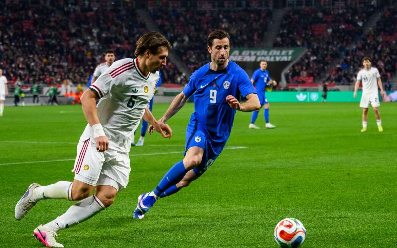 madzarska slovenija 8.jpg