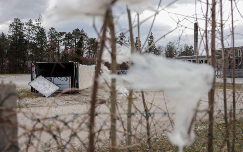 DOG20260327LD-033 (1).jpg