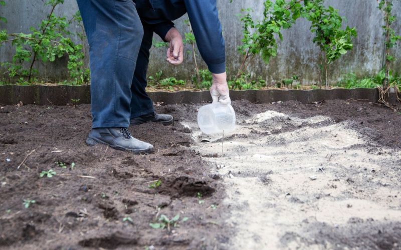 dodajanje apna zemlji