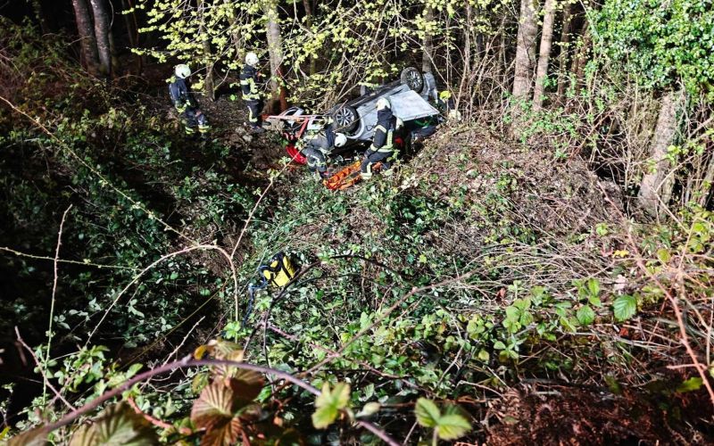 pgd-trebnje, zabukovje