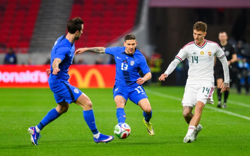 slovenija madzarska sp.jpg