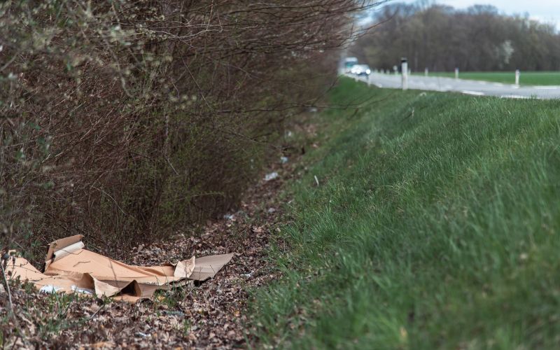 simbolična, smeti, smeti-ob-cesti, obcestni-jarek, odvržene-smeti, puconska-ravnica