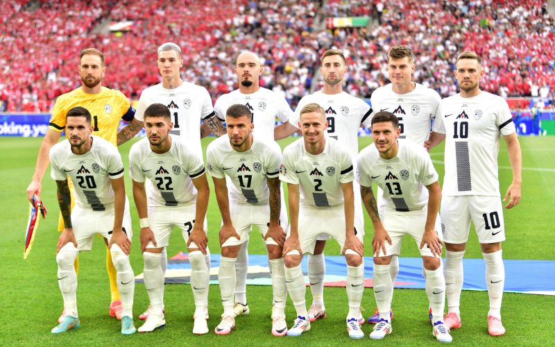 slovenija danska euro 2024.jpg