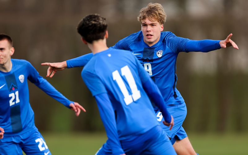 1slovenija makedonija.jpg