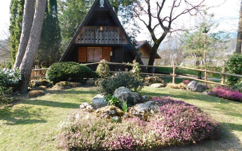 mozirski-gaj, spomladanska-razstava, cvetje