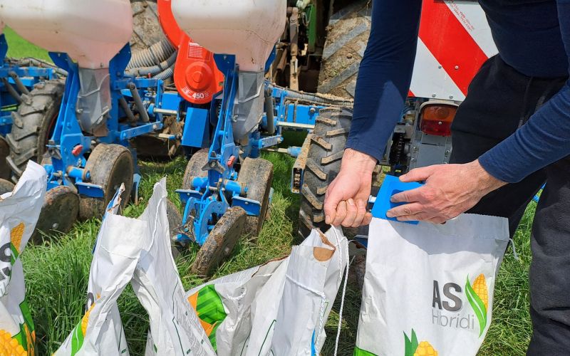 mv-nakup semena tujina.jpg