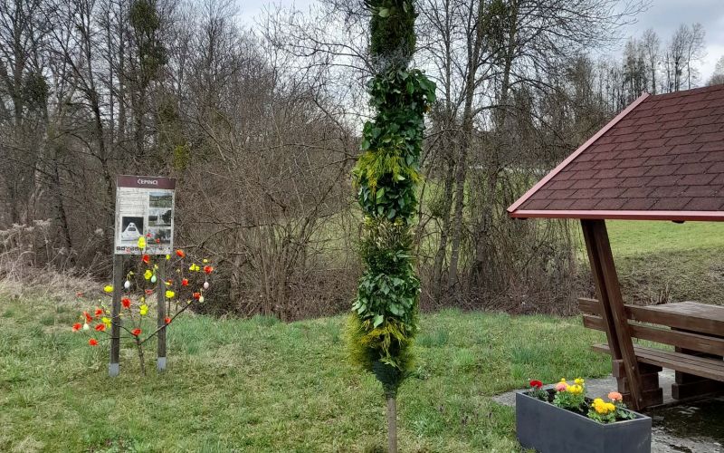 td-cep-cepinci, cepinci, butara, cvetna-nedelja