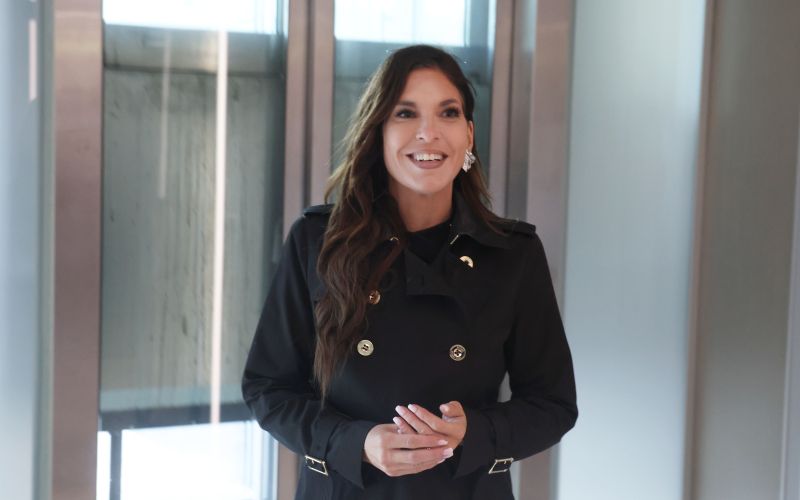 pogajanja vlada irgl