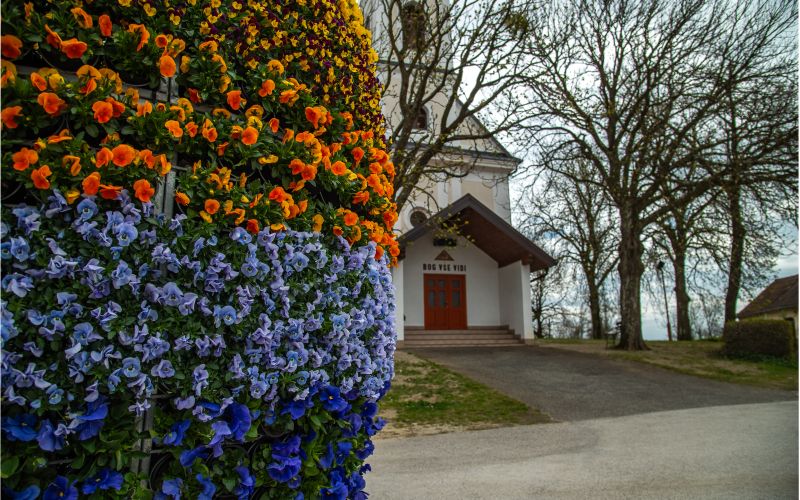 velikonočno-jajce-povezanosti, 2026, pečarovci