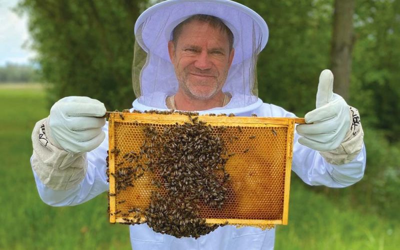 čebele, skrivno življenje, narava