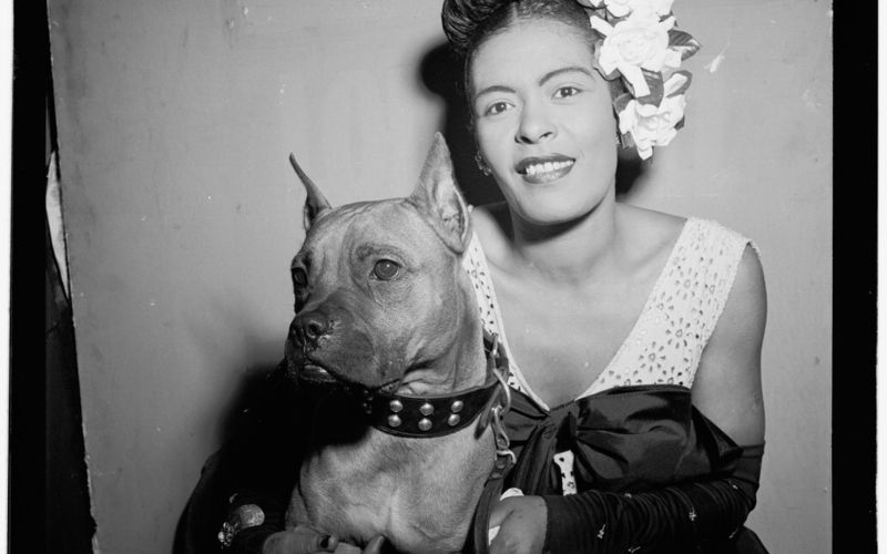 Edini, ki je ostal zvest brez vprašanj.