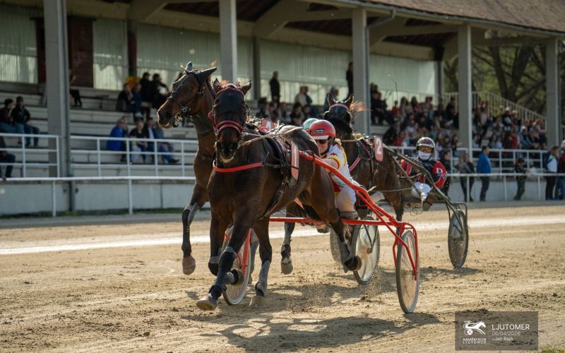 Kasaške dirke, ljutomer, velikonočni ponedeljek 2026