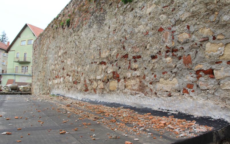 Zid dominikanec (3).JPG