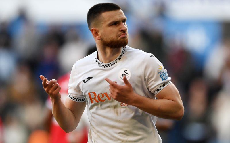 zan vipotnik swansea pm.jpg