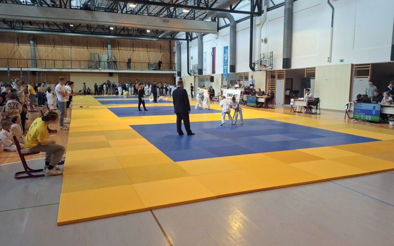 Judo - simolicna fotka.jpg