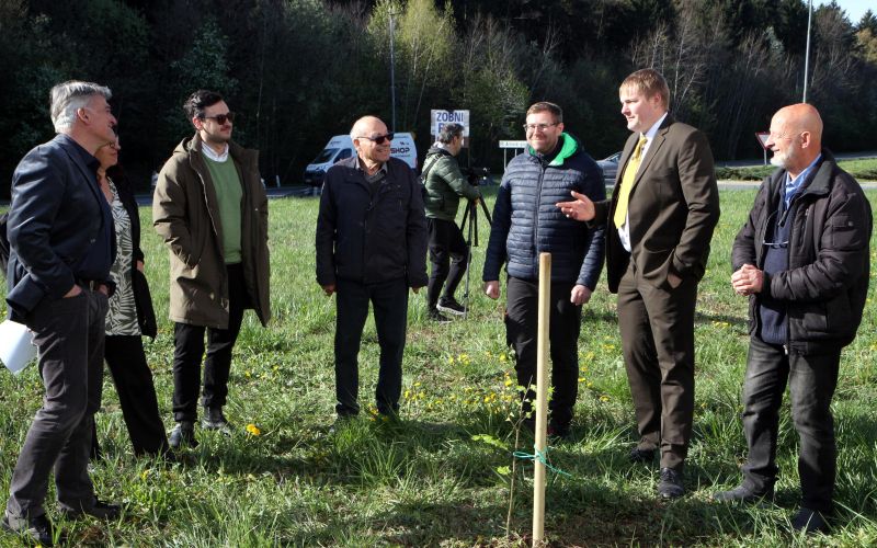 obcina-zalec, medovita-drevesa, saditev-dreves, cz-slovenije