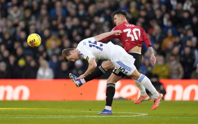 885-7-sesko bijol.jpg