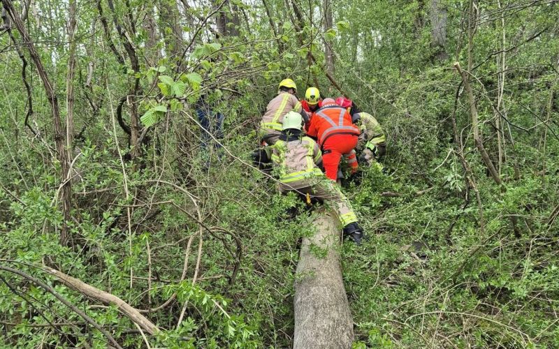 nesreca-v-gozdu, pge-krsko