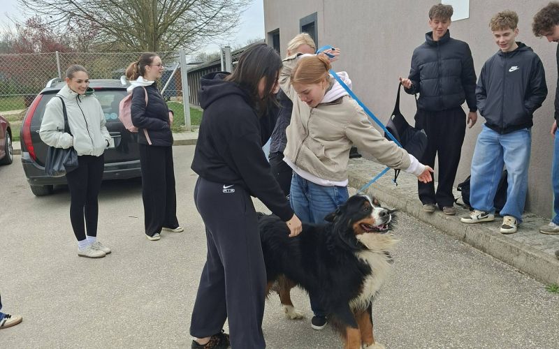 zavetisce-mala-hisa, gimnazija-murska-sobota