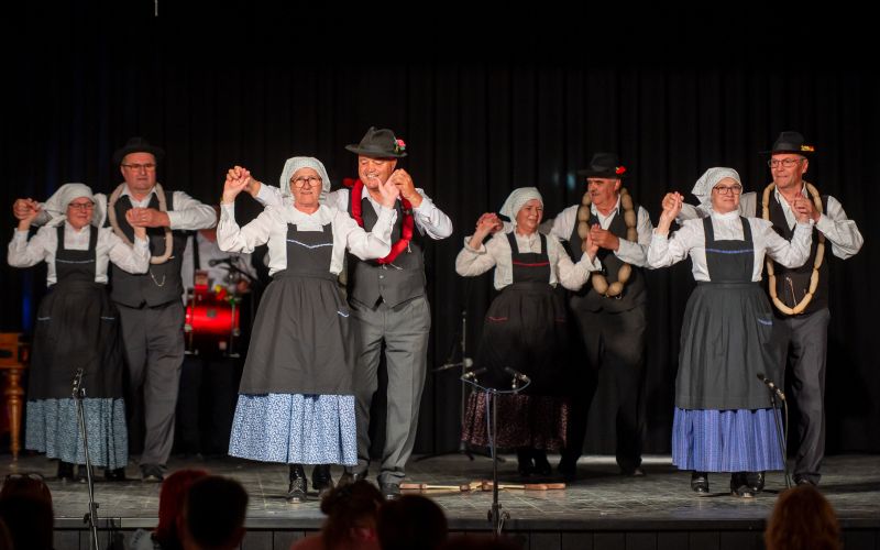 obmocno-srecanje-odraslih-folklornih-skupin, beltinci, marolt-2026