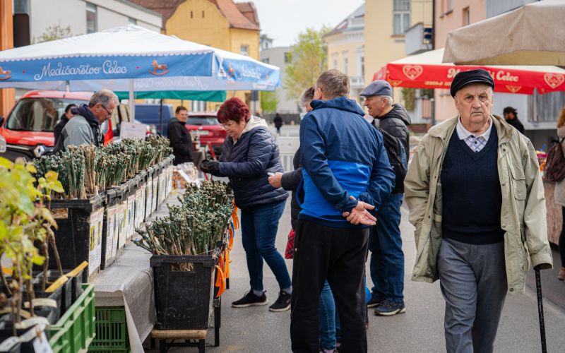 kramarski-sejem, murska-sobota
