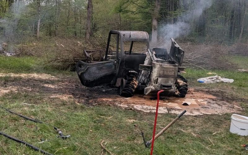 pge-krsko, krakovski-gozd