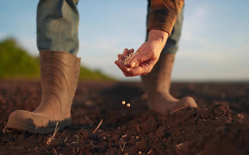 zivila semena shutter.jpg