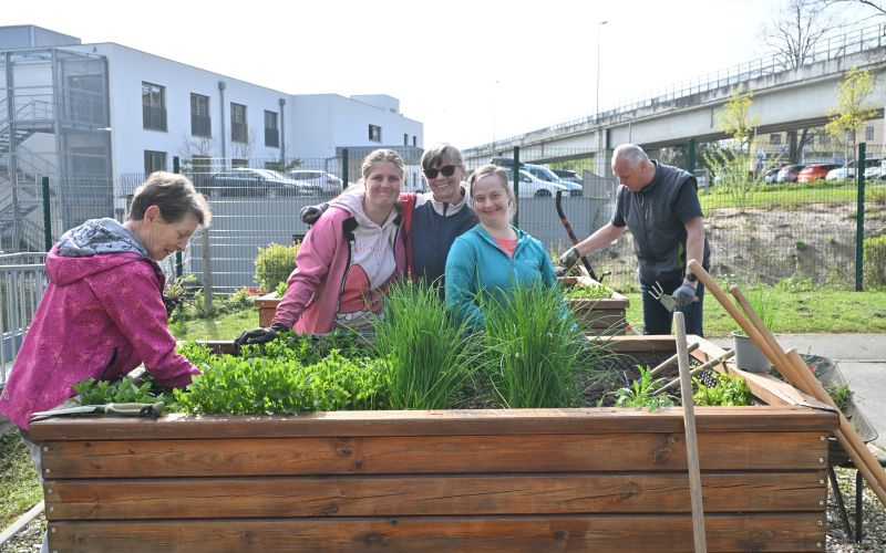 Prostovoljci so skupaj z uporabniki VDC-ja urejali visoke grede.JPG