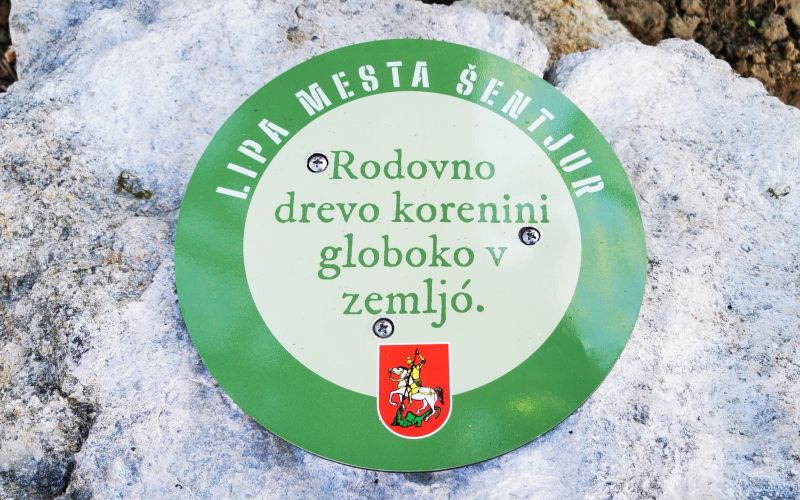 lipa-mesta-sentjur, drevo