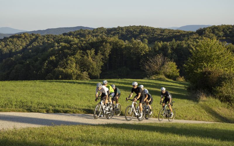 s-kolesom-po-dolenjski