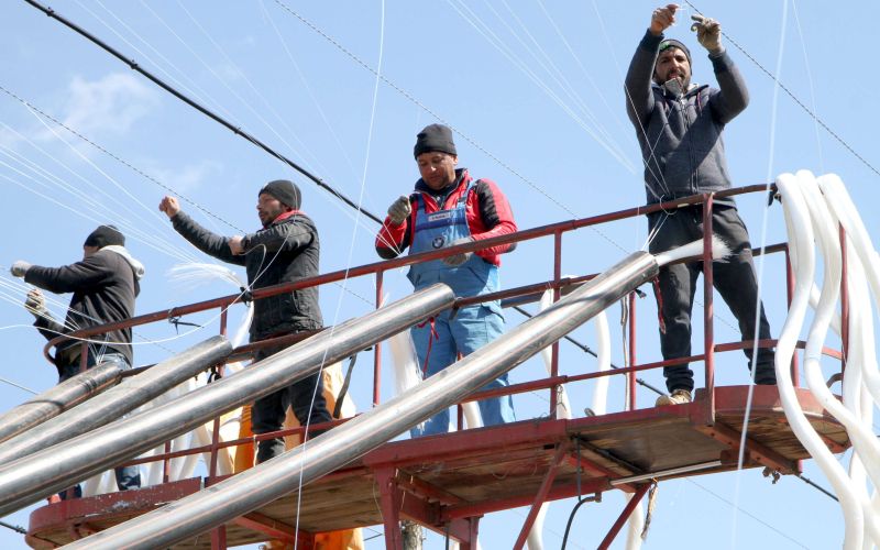 hmelj, delavci, vrvice