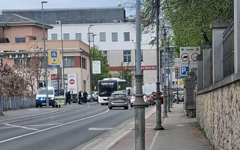 avtobus seidlova.jpg