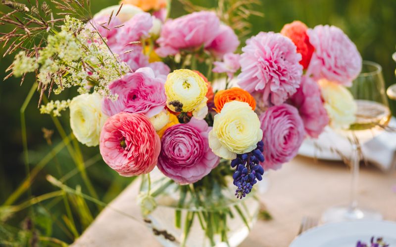 vrtnice, rezano-cvetje