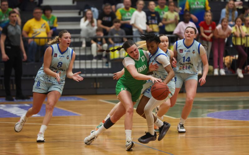 ilirija cinkarna celje