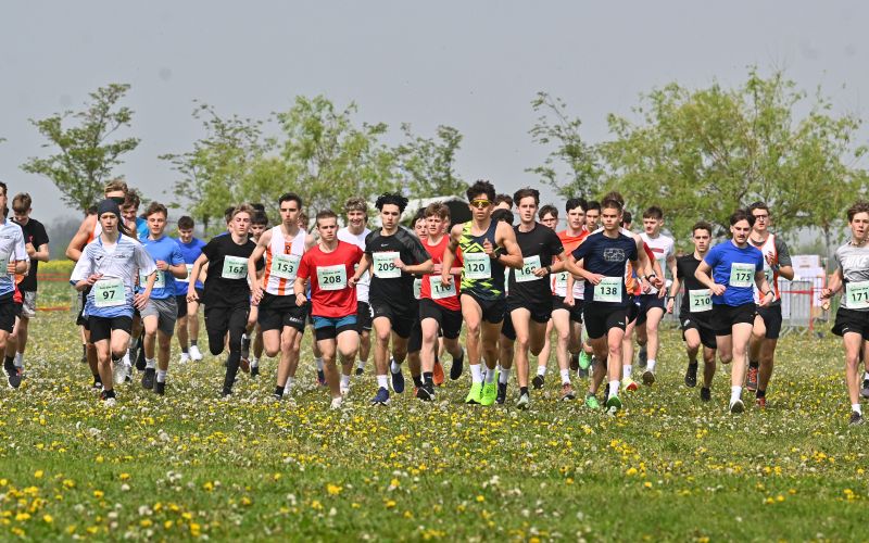 murska-sobota, šolski-kros