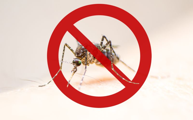 svetovni dan malarije.jpg