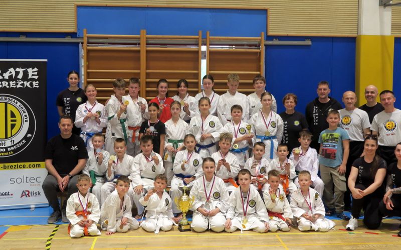 os-pokal-posavja, kk-brezice-soltec