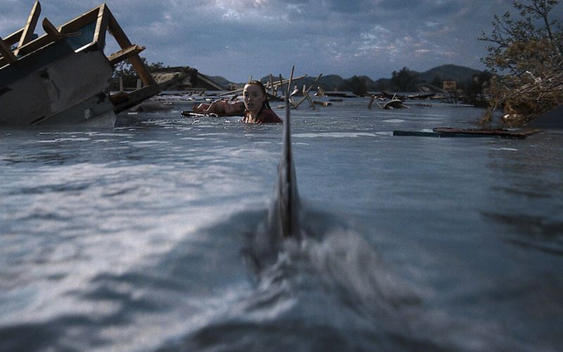 Orkan je odnesel vse – razen tistega, česar nihče ni pričakoval pod gladino.