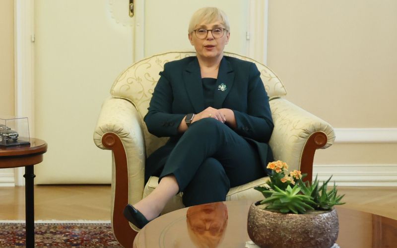 Luka Mesec, Nataša Pirc Musar