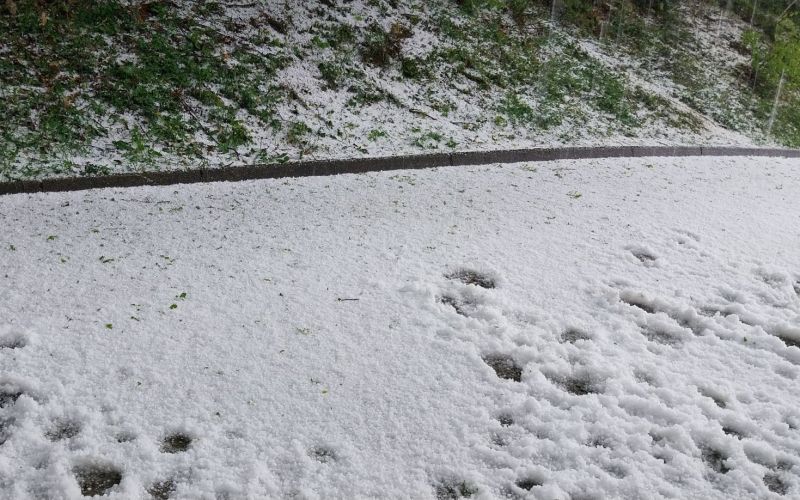 rovte nad logatcem sandi alič.jpg