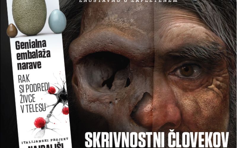 Screenshot 2026-04-21 132949.png