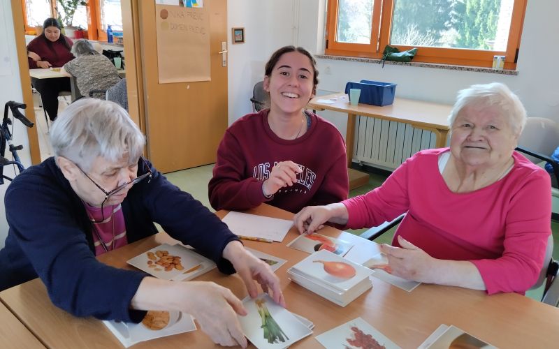 vdc-toncke-hocevar, vdc