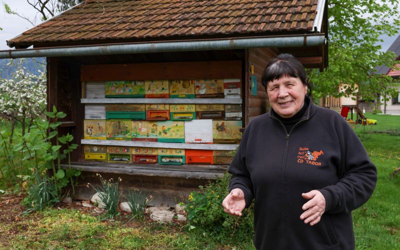 mira-pepel, obcina-tabor, cebelar, cebelarsko-drustvo-tabor, cebelarjenje